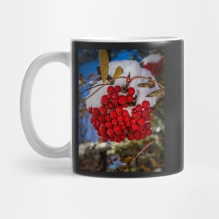 Winter Berries 2 Mug